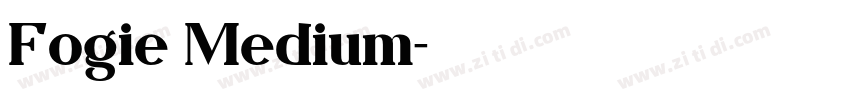 Fogie Medium字体转换